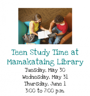 Teen Study Time at Mamakating Library
