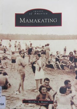 Mamakating-History