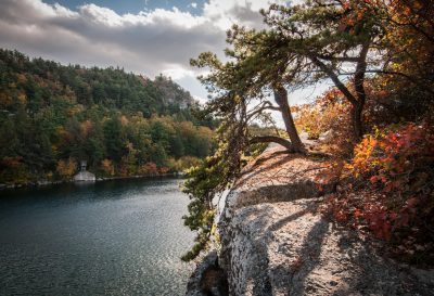 pitchpines draping over cliff edge above Mohonk Lake