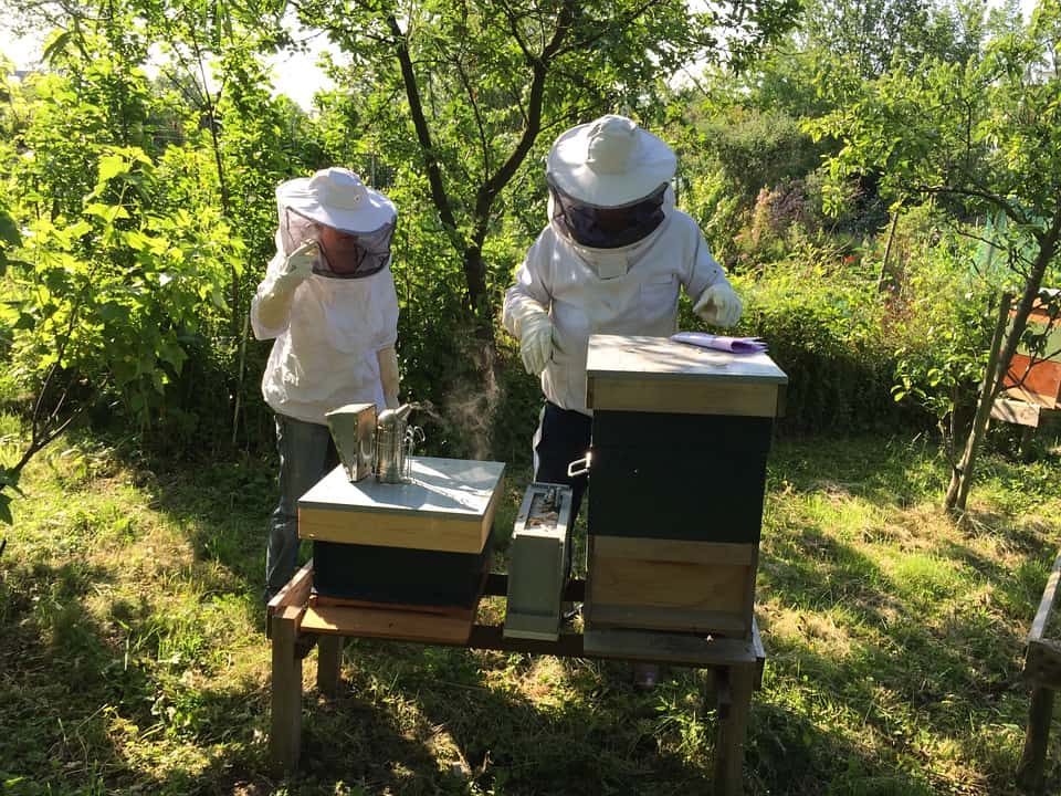 Beekeepers Bees Beekeeping Hive