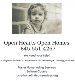 foster homes in Sullivan County has reached a crisis level! (1)