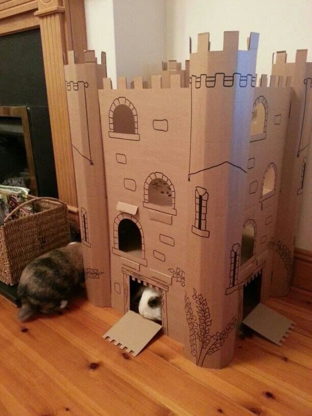 Cat Castles1