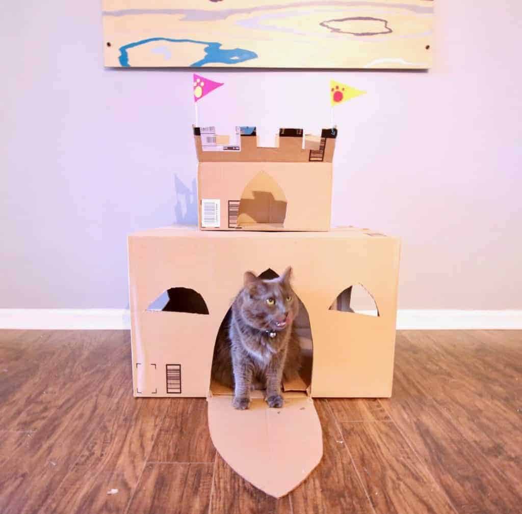 Cat Castles2