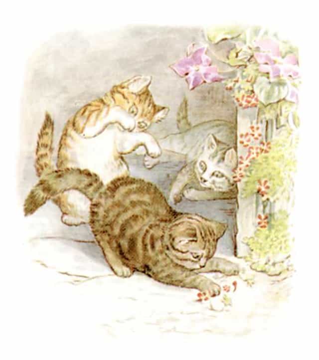 640px-Beatrix_Potter_-_The_Tale_of_Tom_Kitten_-_Illustration_from_p_8