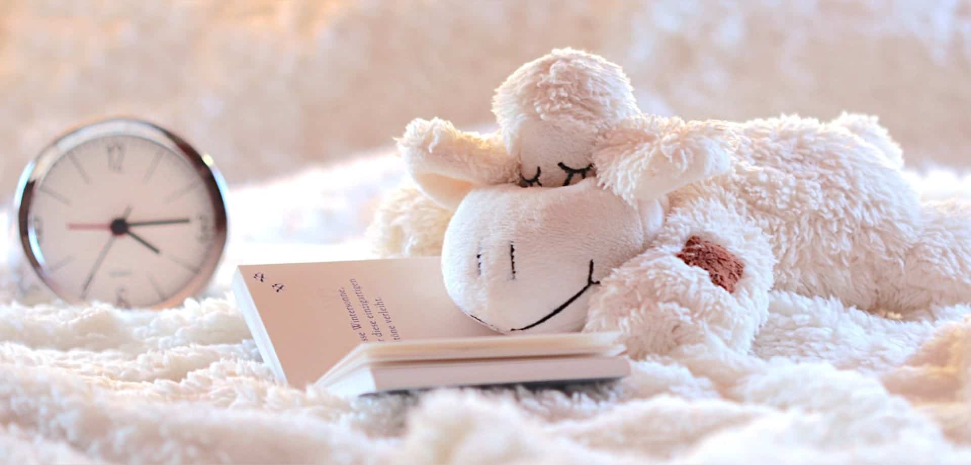 StuffedAnimalSleepover