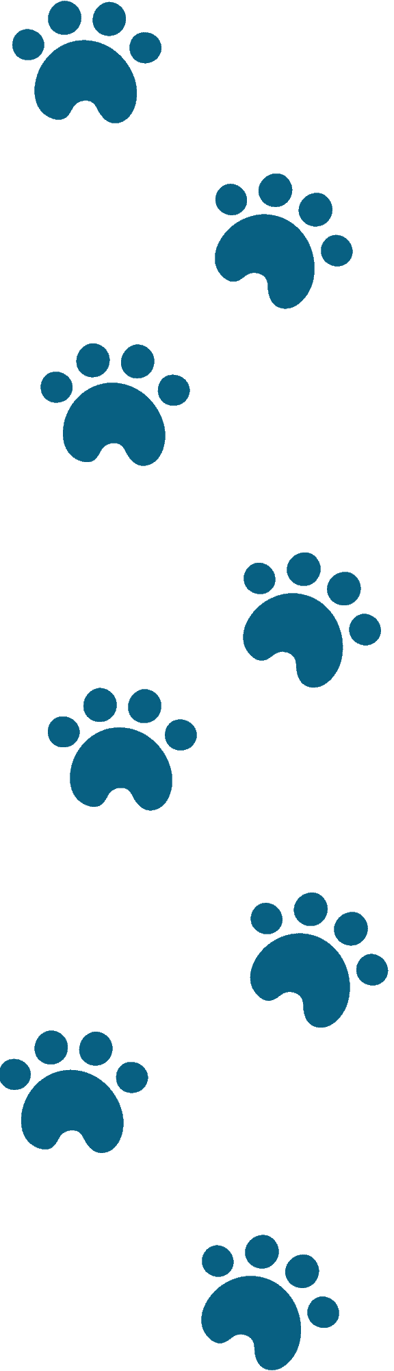 readtomocha-pawprints